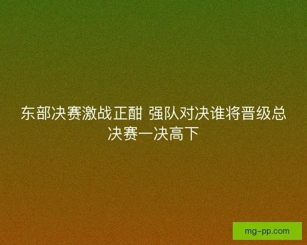 东部决赛激战正酣 强队对决谁将晋级总决赛一决高下